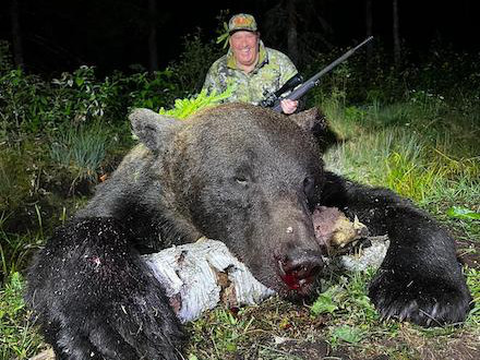 Caccia all'Orso